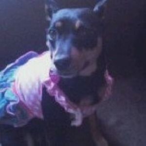 Meet your Posher, Marcy